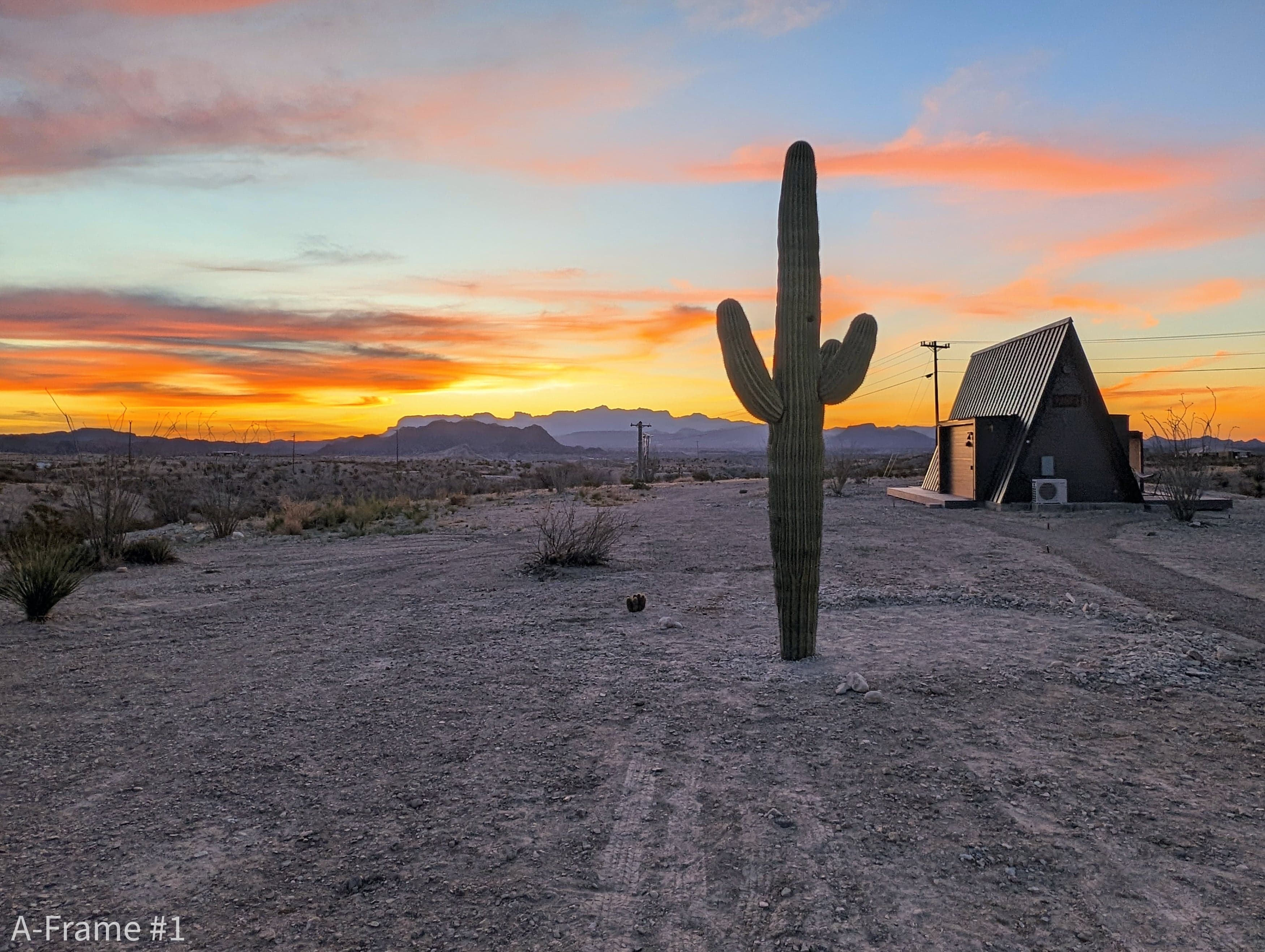 A-frame 1 Saguaro